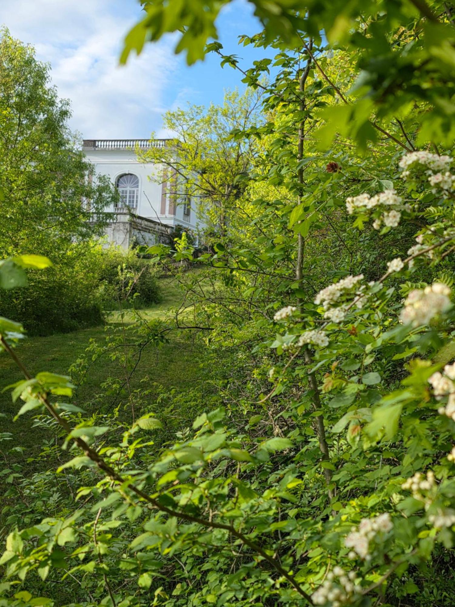 Chateau De Pourpry Damiatte Exterior photo